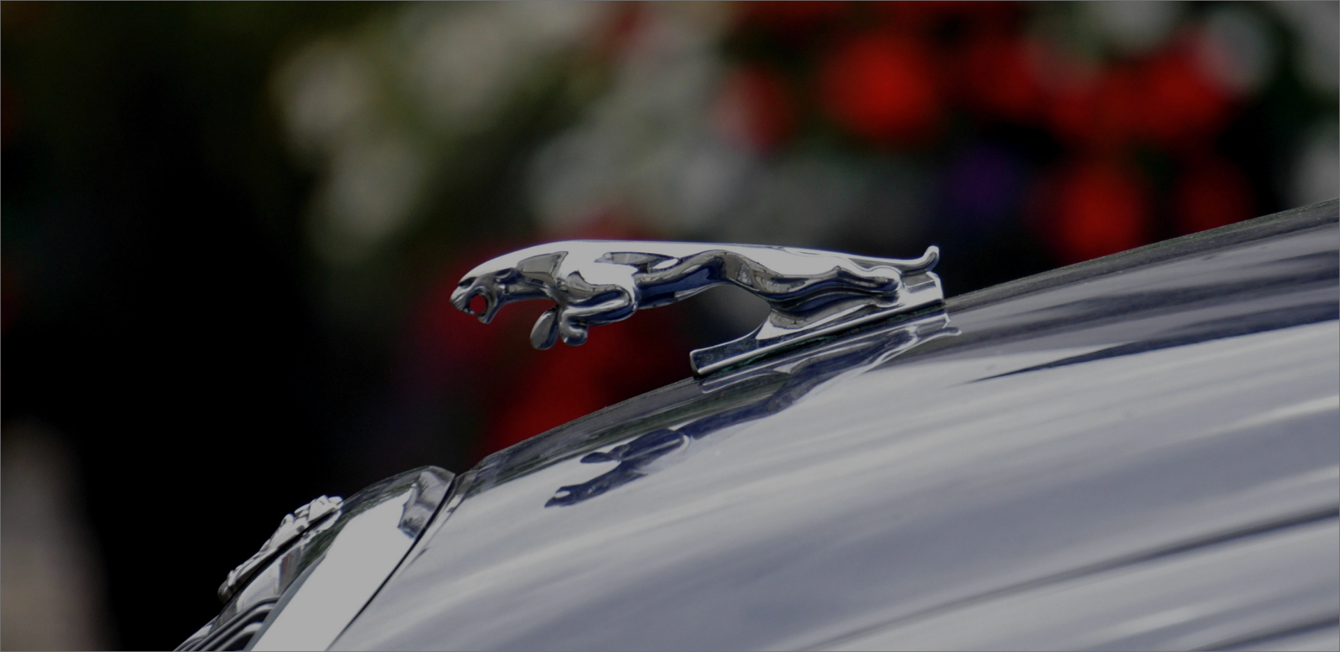 Jaguar Number Plates